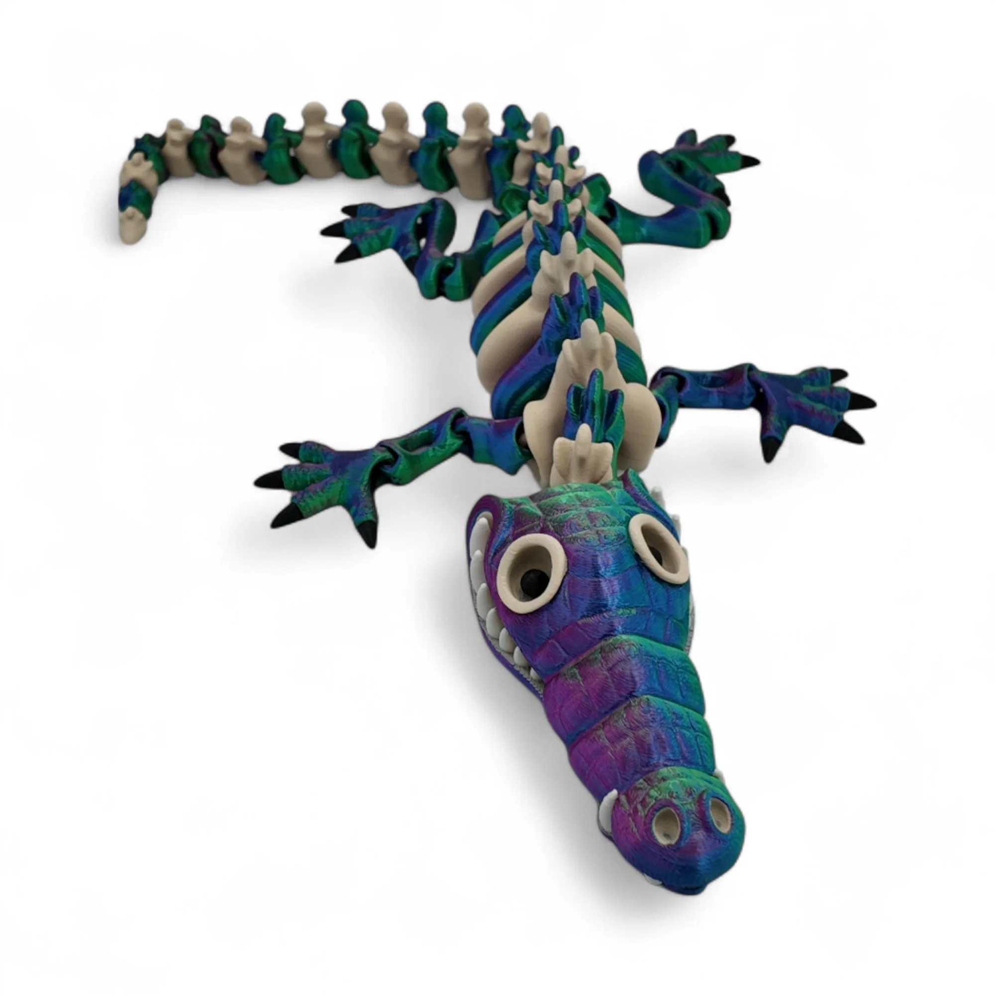 Adult Skeleton Crocodile - Image 4