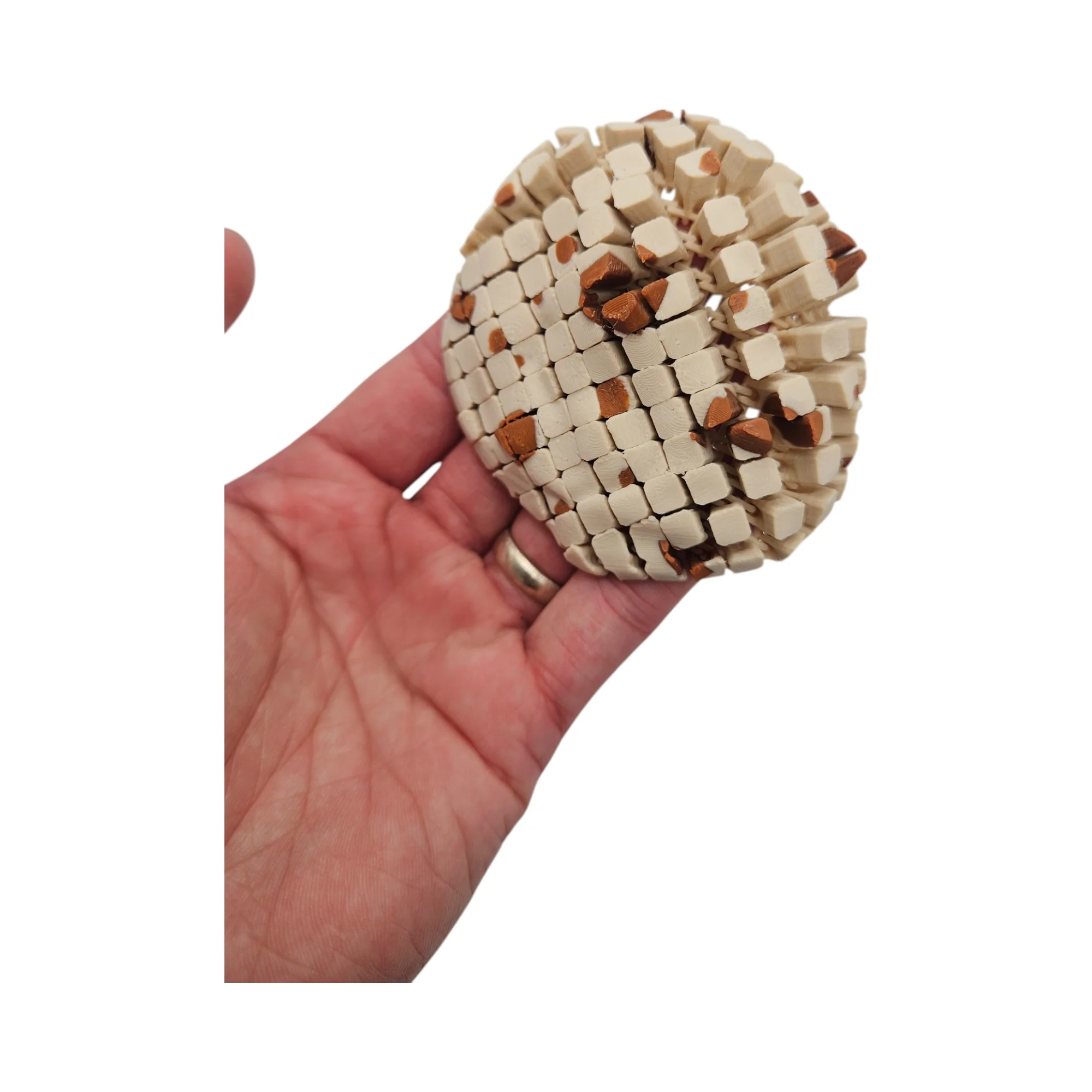 Flexi Fidget Toys – Articulating Flexible Animals and Creatures - Image 11