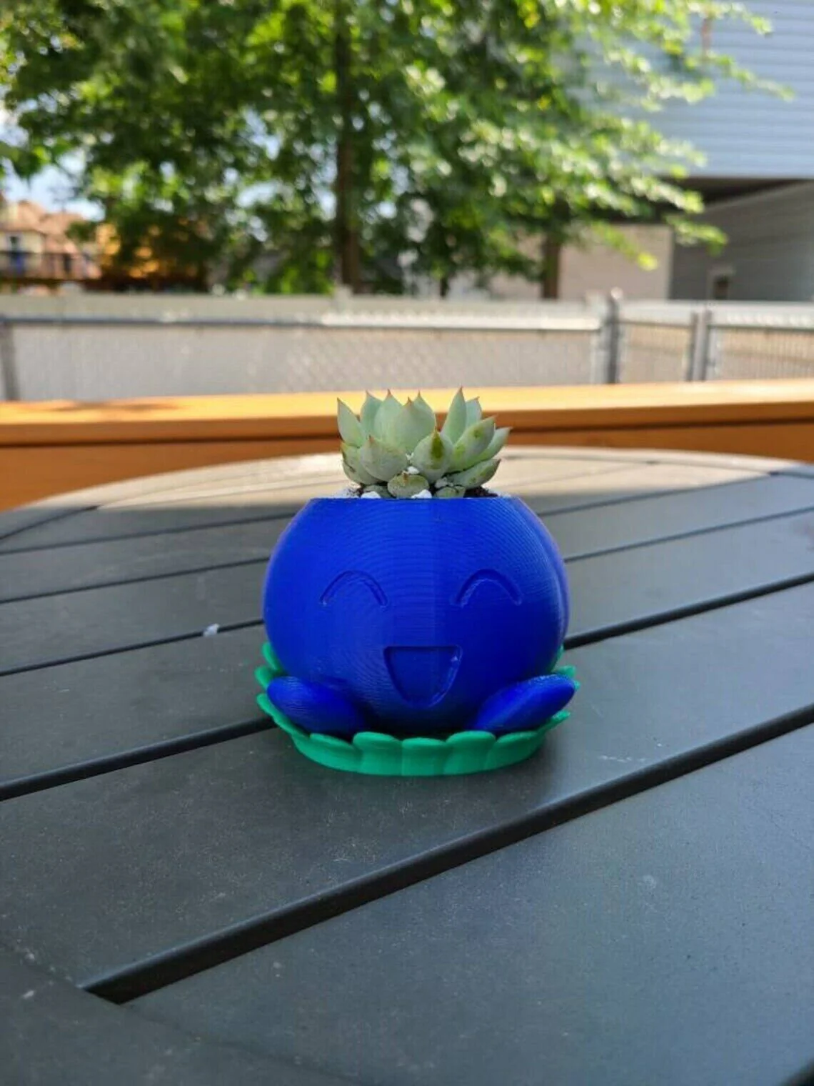 Pokémon Oddish Succulent Planter - Image 3