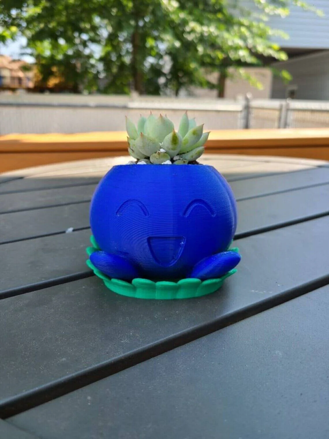 Pokémon Oddish Succulent Planter - Image 4