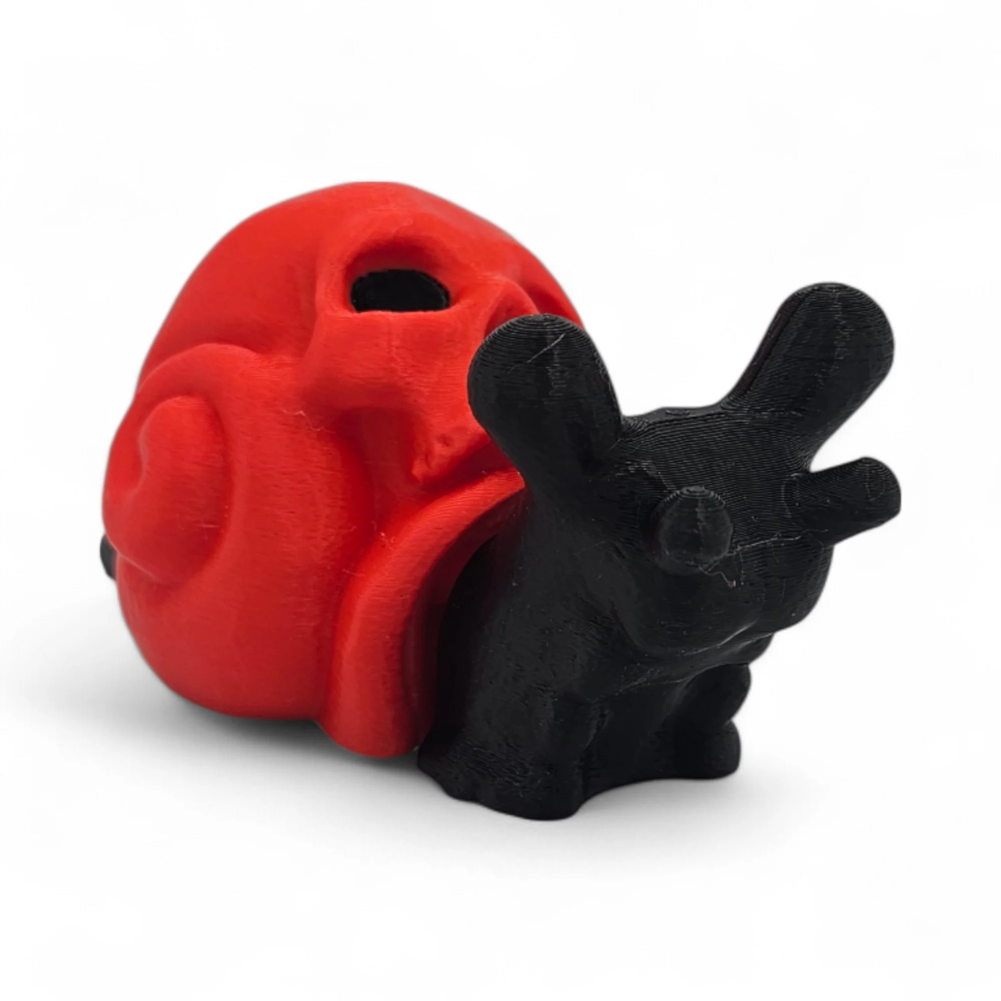 Skull Snail Fidget Toy - Image 3